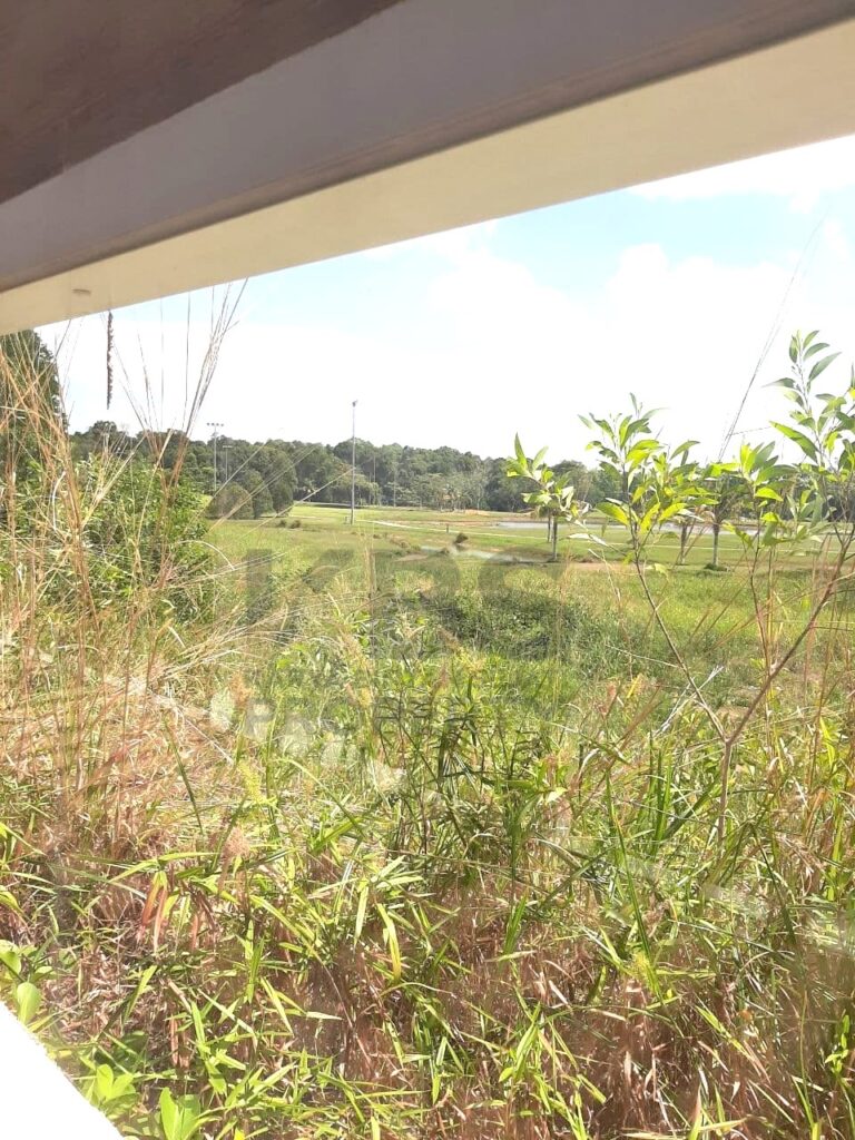 Photo 2021 03 22 13 40 51