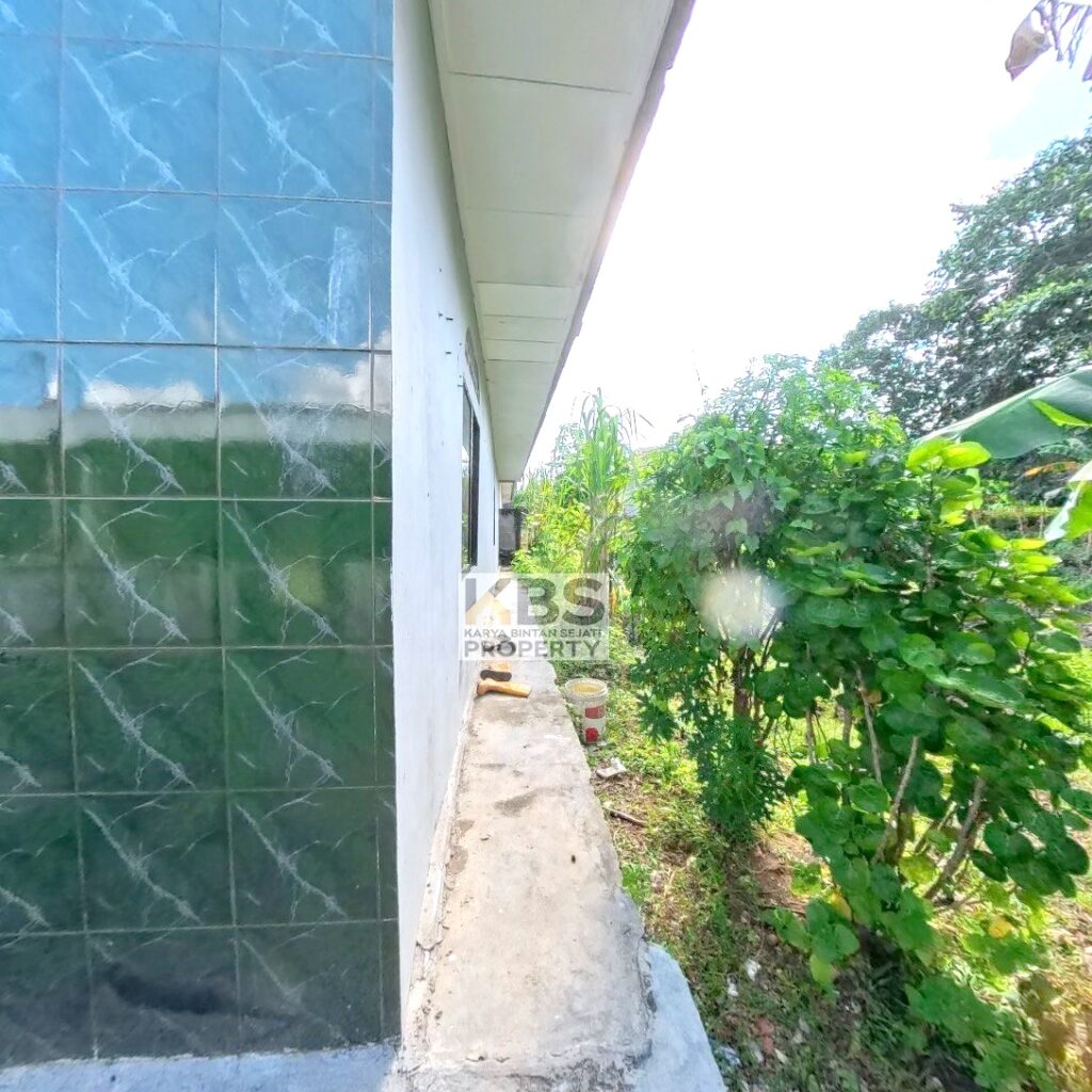 Photo 2025 07 10 20 51 59 3