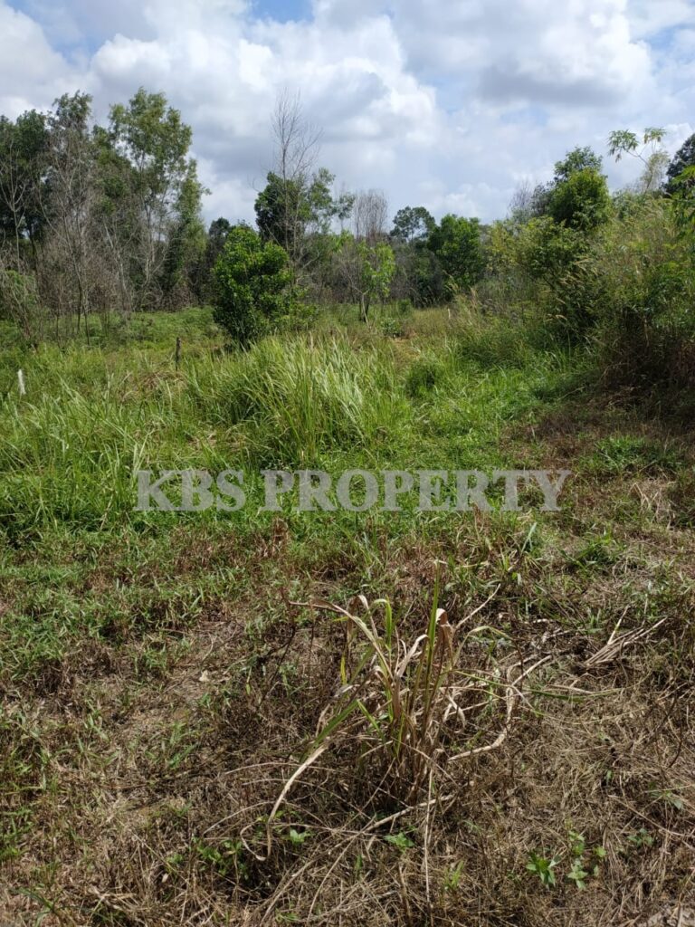 1194c4ff 8eaf 4aa1 9240 99a252b41dfb