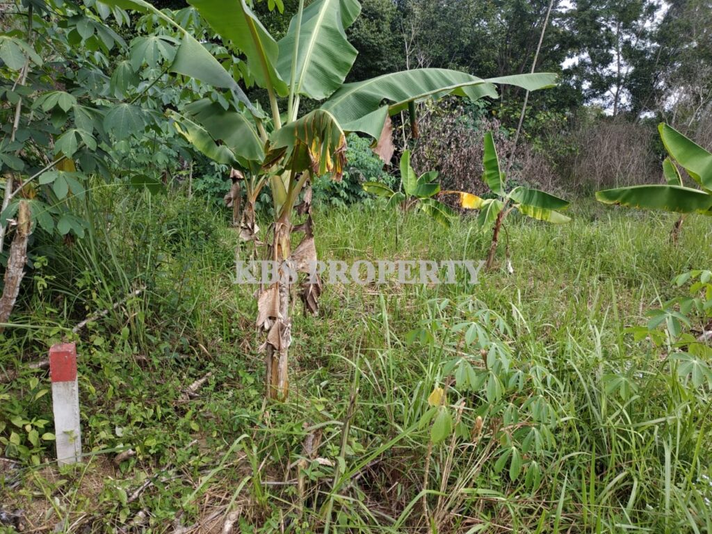 25f27e30 dbae 44d6 a72f e69e031481df