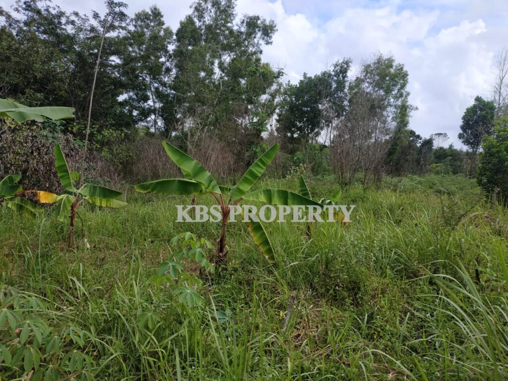 57c4a689 1077 4e6a a74e b7ff1af1c156