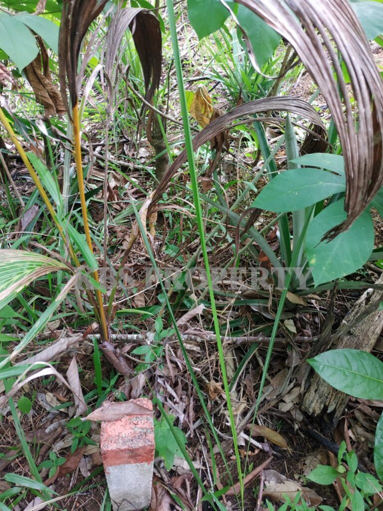 5b47a5f7 30b7 4045 8824 6fe38f770a79