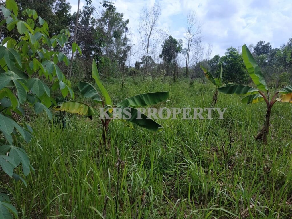 78f2f0f7 ae51 474b 8585 0b93f785b4bc