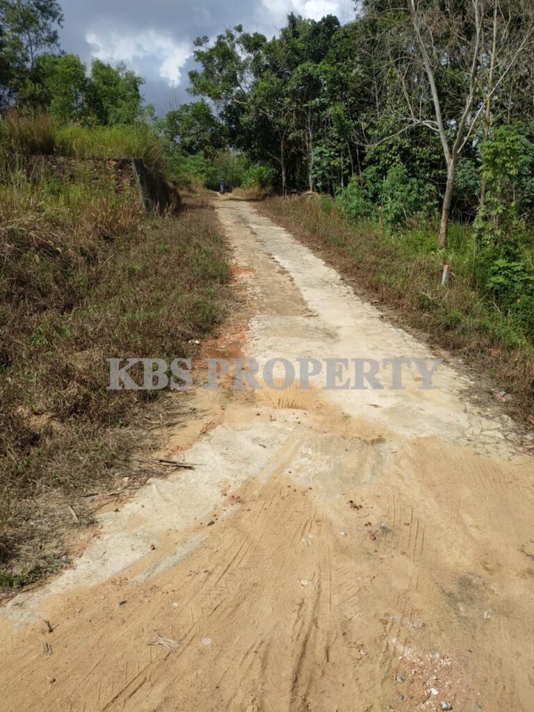 B4515417 da03 4fb8 a706 2ccc0e271f65