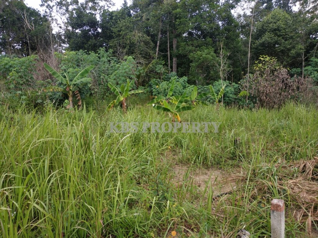 Cc04311e 44a8 4ba5 a9a5 9e12129b74c4