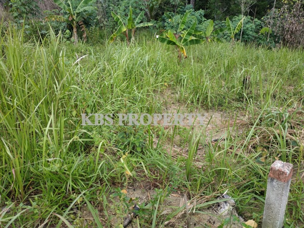 E646f418 9515 480d a75d eaf81647c54a