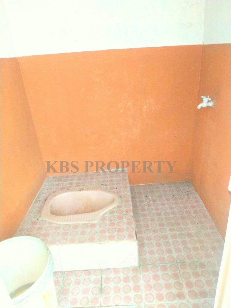 Photo 2021 06 10 14 17 32 2