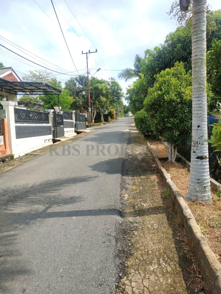 Photo 2021 06 10 14 17 34 2