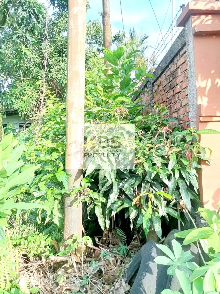 Photo 2023 12 20 16 47 31