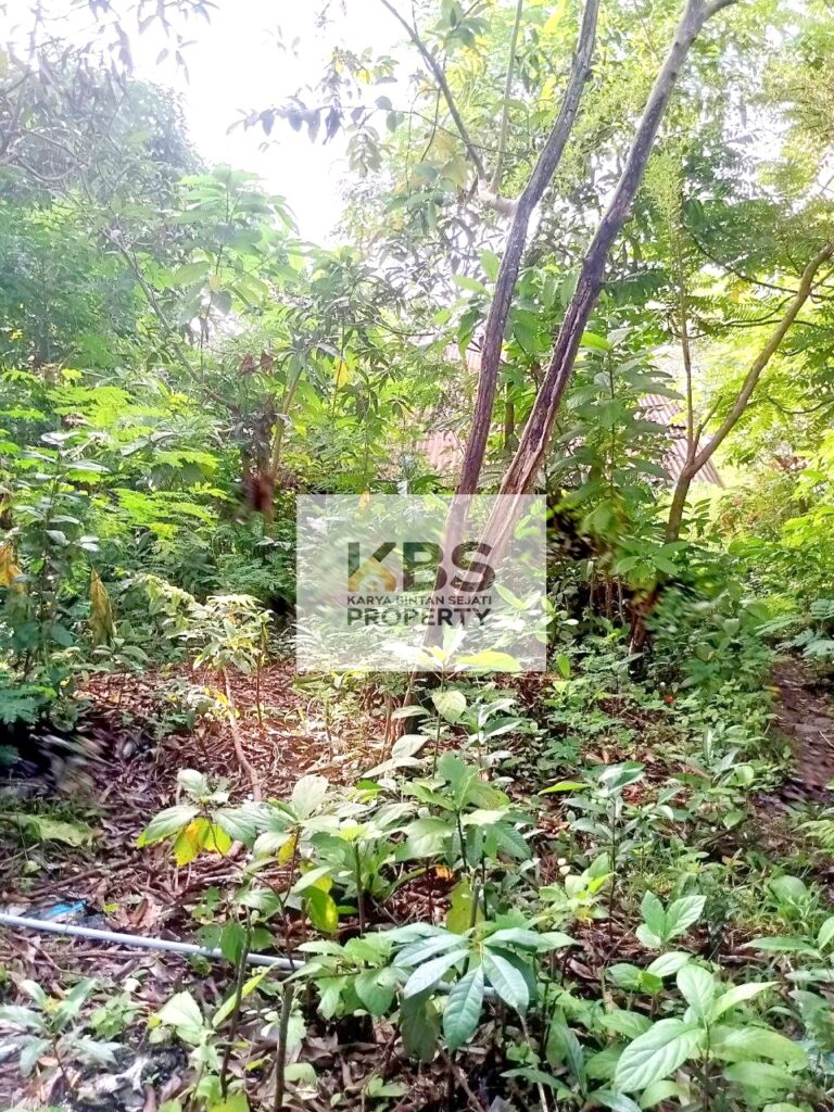 Photo 2023 12 20 16 47 32