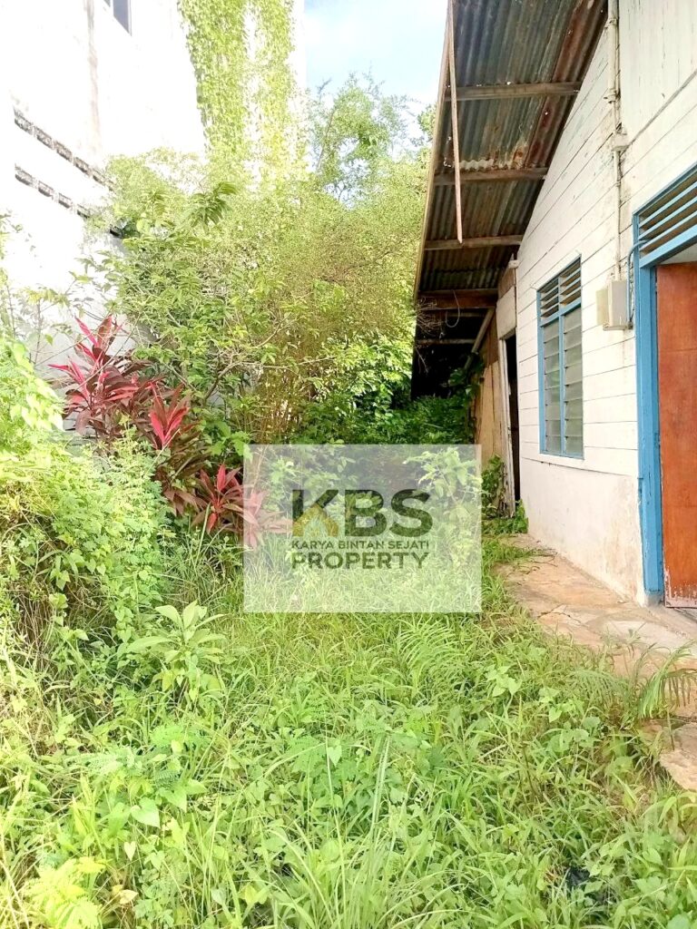 Photo 2023 12 20 16 47 33 2