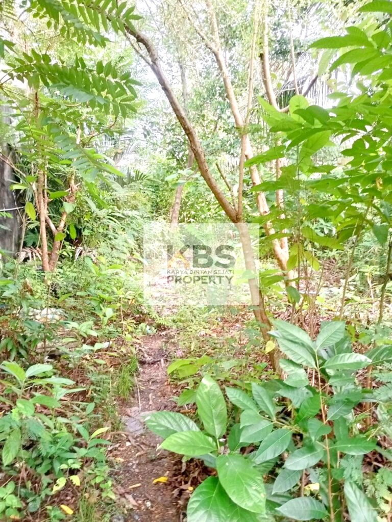 Photo 2023 12 20 16 47 33