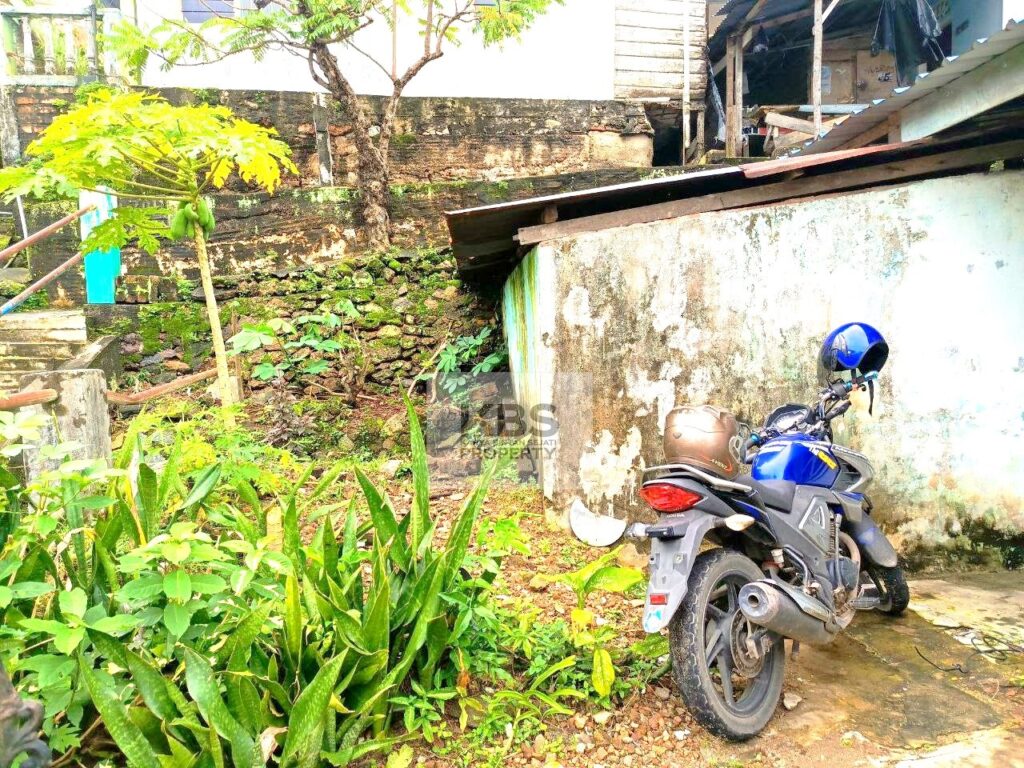 Photo 2024 01 21 09 18 11