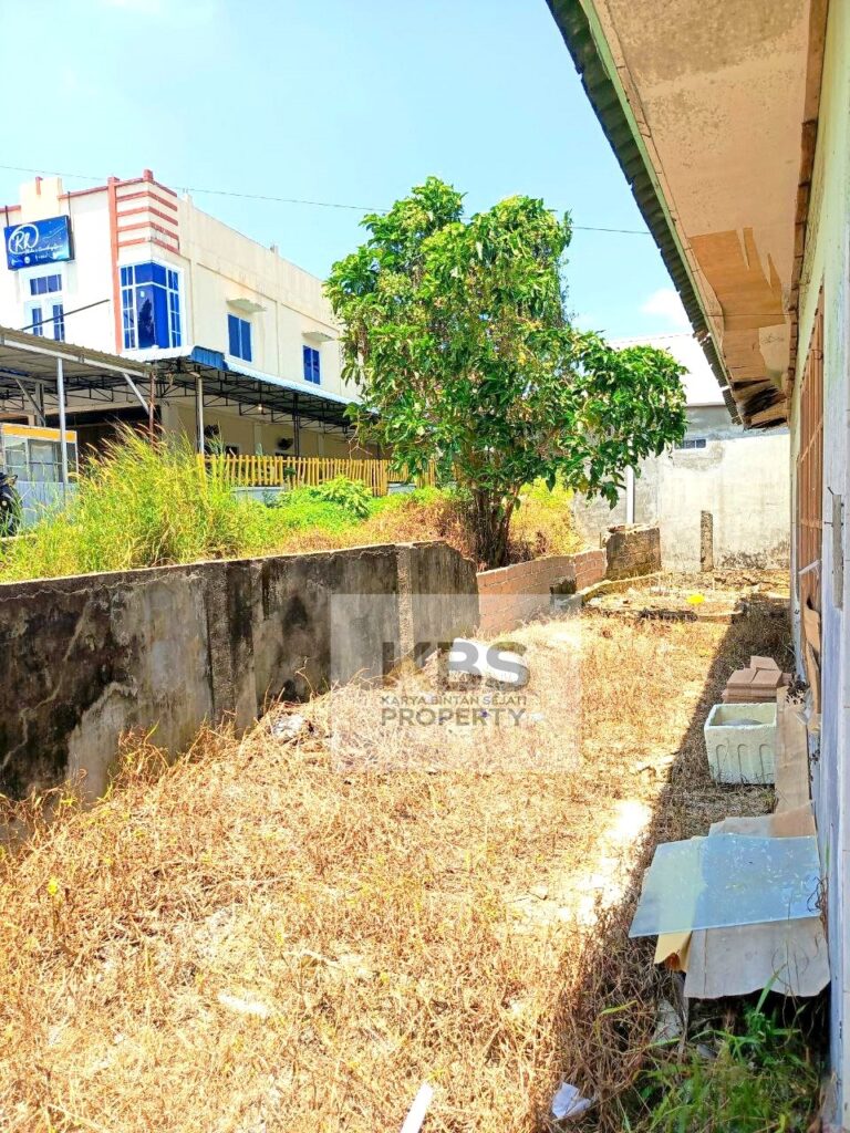 Photo 2024 03 14 09 36 07