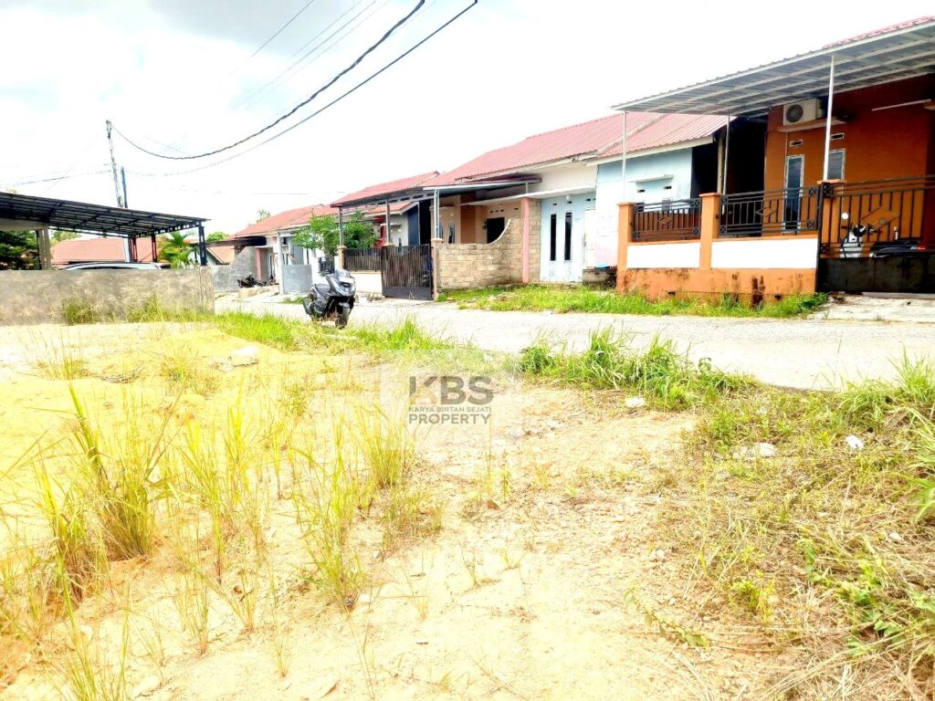 Photo 2024 03 16 12 34 21