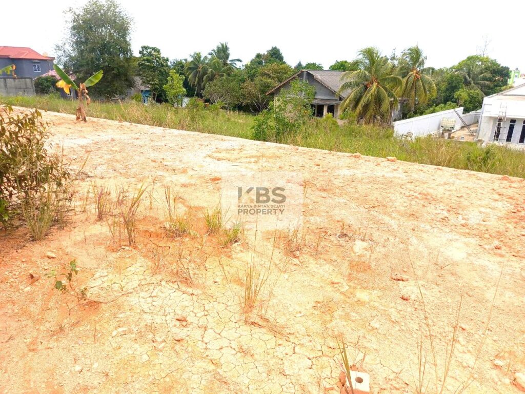 Photo 2024 03 16 12 34 28