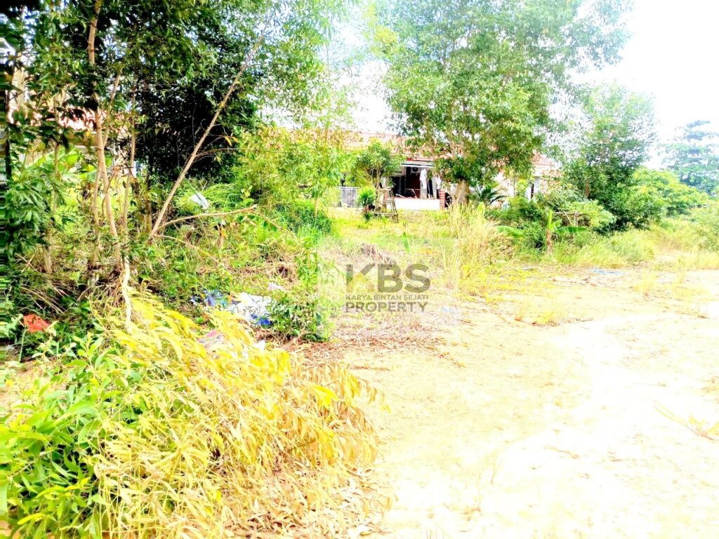 Photo 2024 03 16 12 34 31