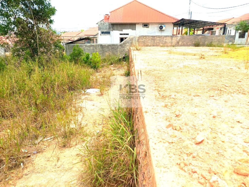 Photo 2024 03 16 12 34 33