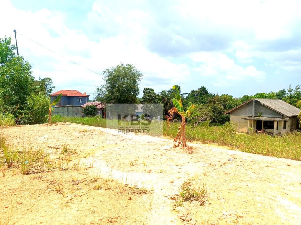 Photo 2024 03 16 12 34 35