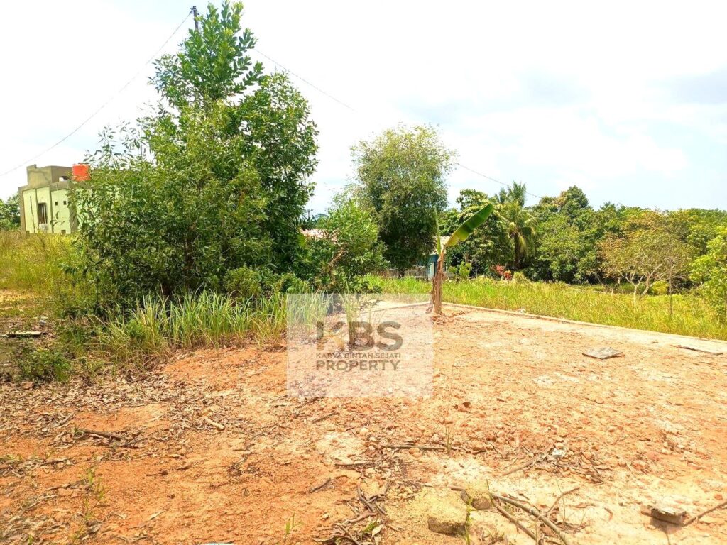 Photo 2024 03 16 12 34 47