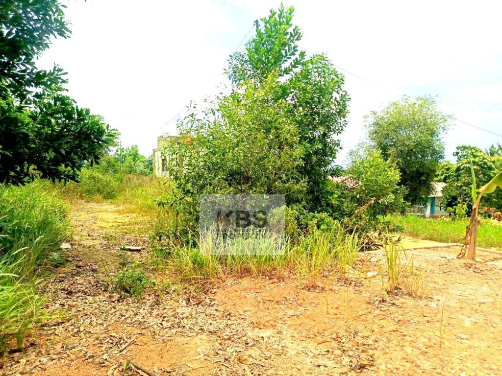 Photo 2024 03 16 12 34 50