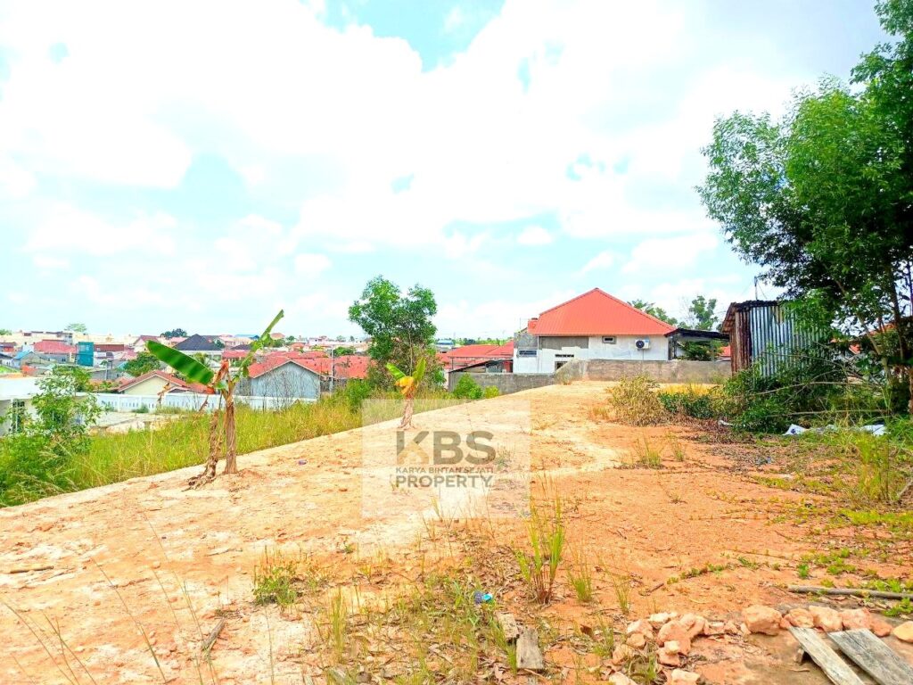 Photo 2024 03 16 12 34 53