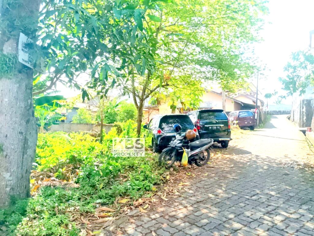 Photo 2024 08 12 15 22 14