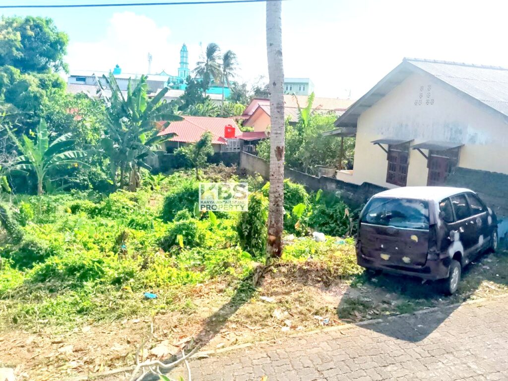 Photo 2024 08 12 15 22 14 4