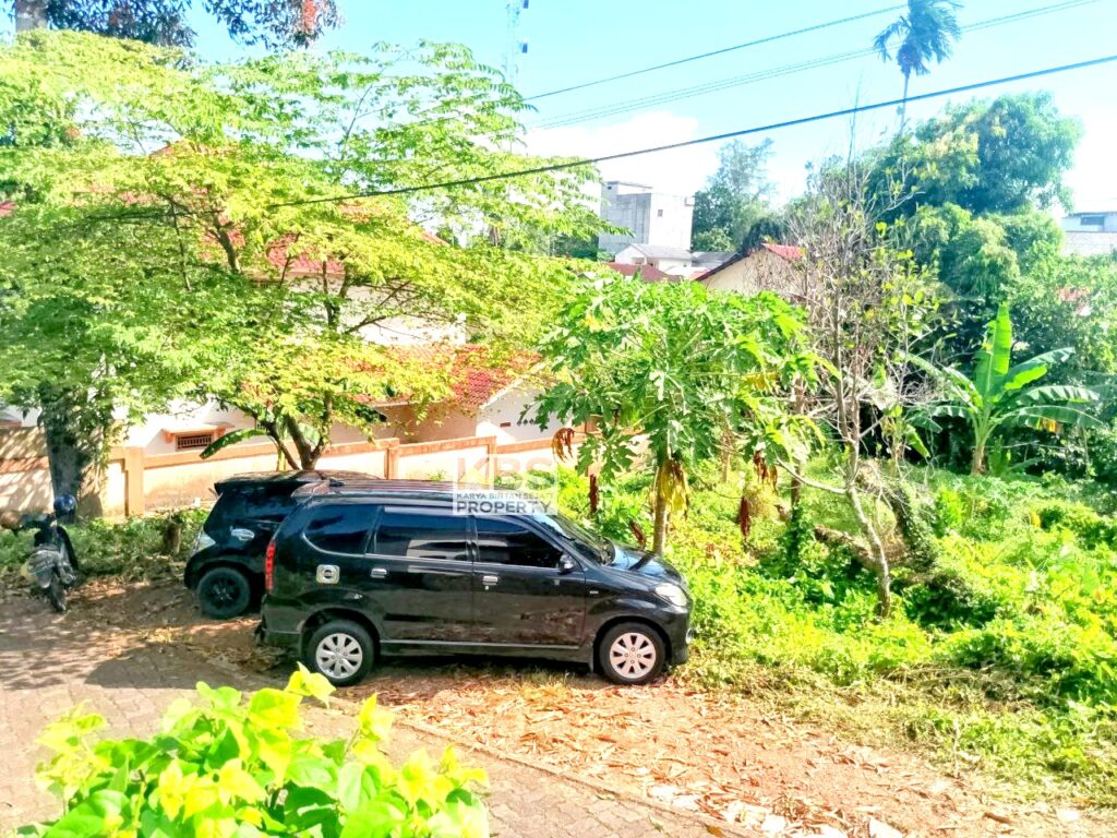 Photo 2024 08 12 15 22 14 5