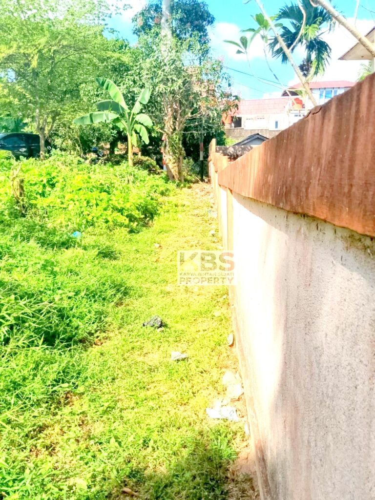 Photo 2024 08 12 15 22 15 2