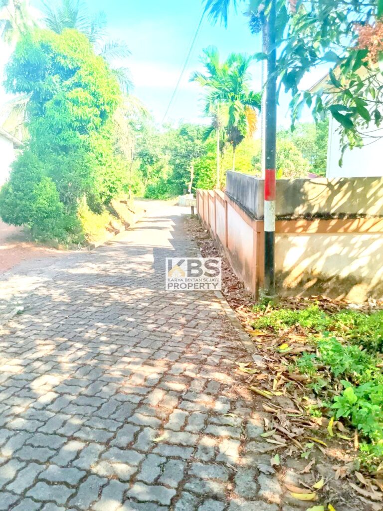 Photo 2024 08 12 15 22 15 3