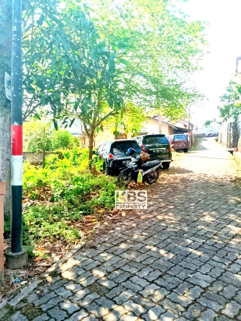 Photo 2024 08 12 15 22 15 4