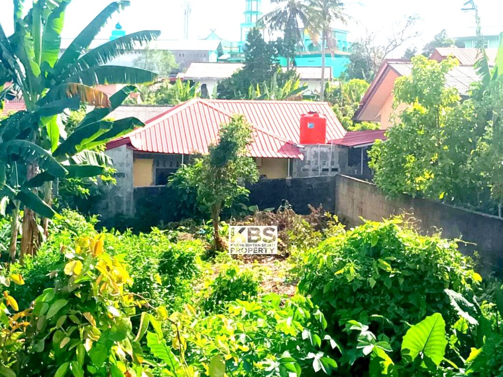 Photo 2024 08 12 15 22 15 5