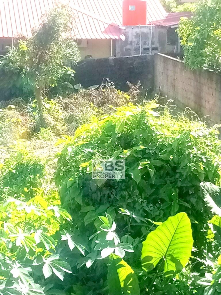 Photo 2024 08 12 15 22 23