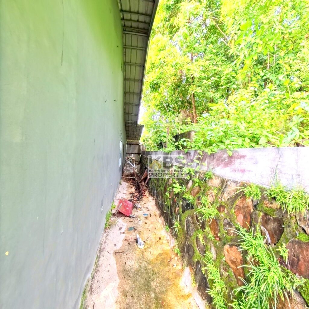 Photo 2025 06 24 11 03 21 4