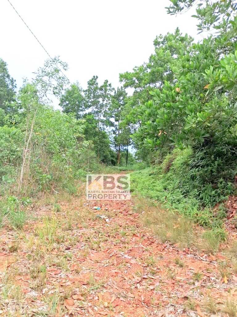 Photo 2025 07 07 17 54 01 2