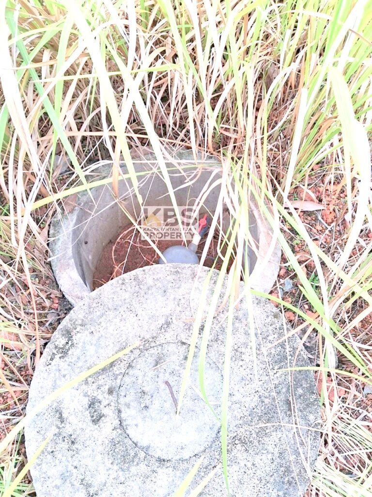 Photo 2025 07 07 17 54 01 3