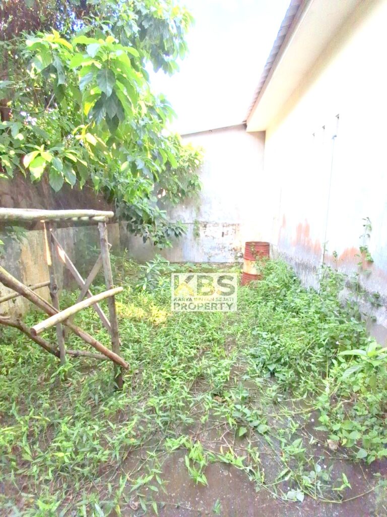 Photo 2025 07 23 15 39 20 5