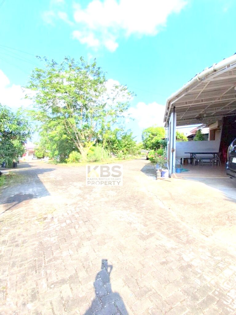 Photo 2025 07 23 15 39 21 2