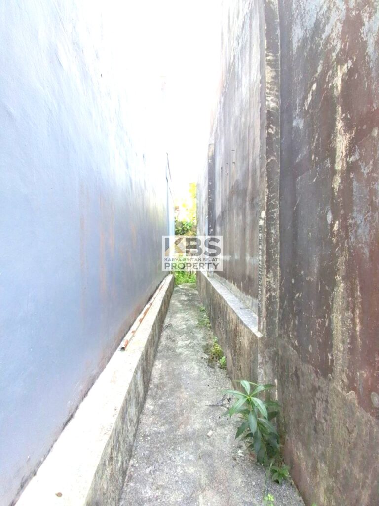 Photo 2025 07 23 15 39 21