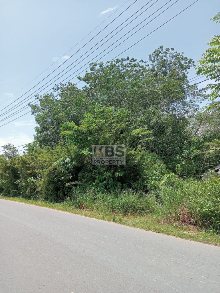 Photo 2025 08 23 13 22 40