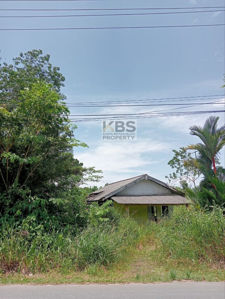 Photo 2025 08 23 13 22 42