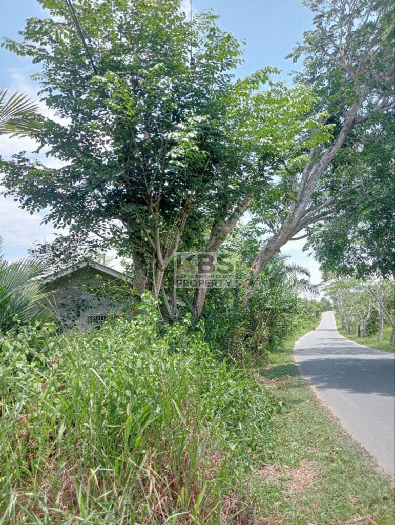 Photo 2025 08 23 13 22 45