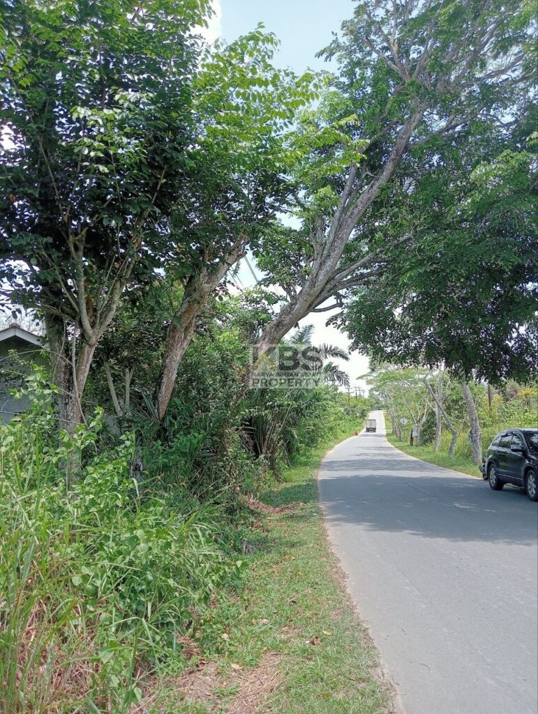 Photo 2025 08 23 13 22 46