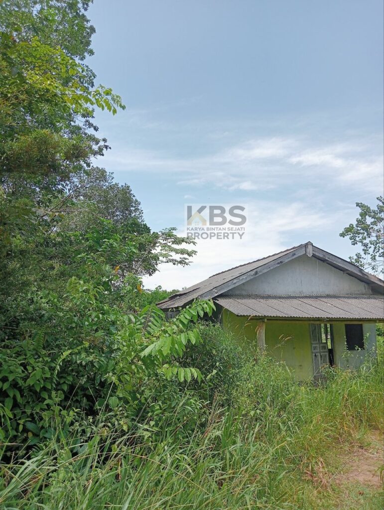 Photo 2025 08 23 13 22 48 2