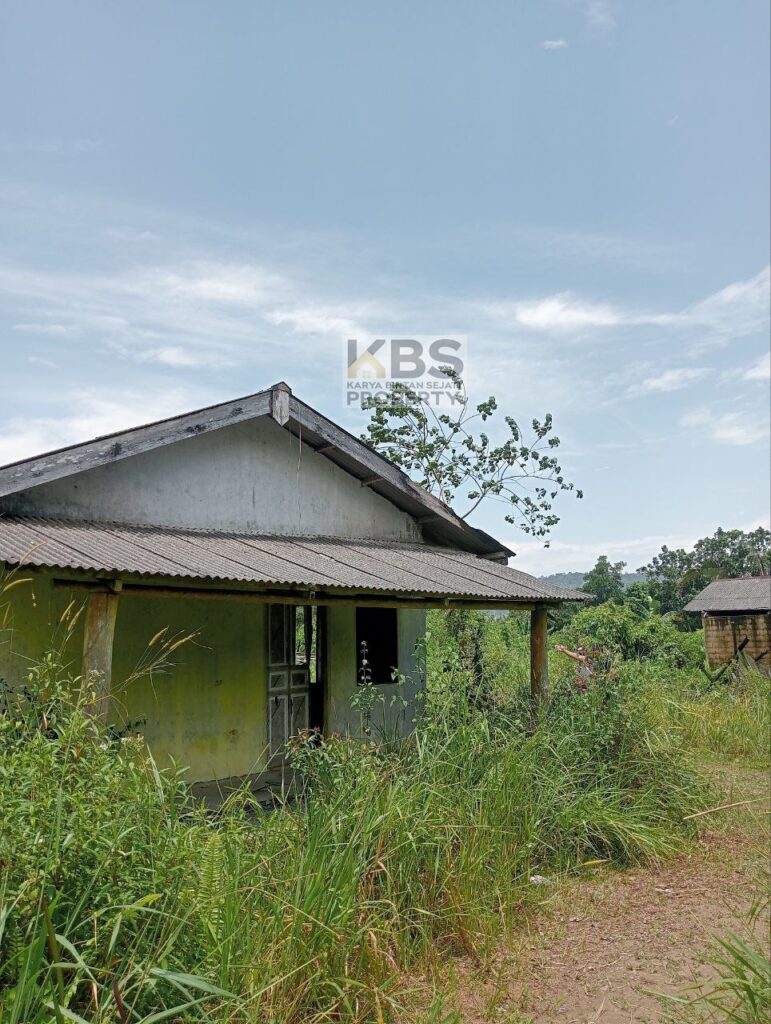 Photo 2025 08 23 13 22 50