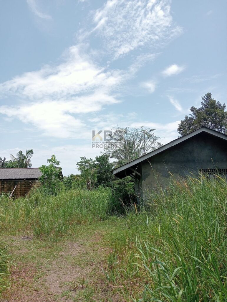 Photo 2025 08 23 13 22 51