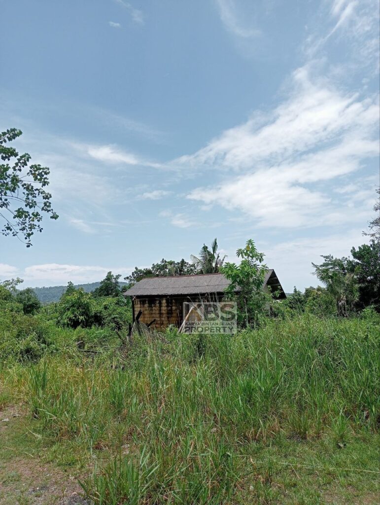 Photo 2025 08 23 13 22 55