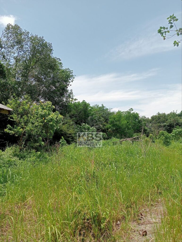 Photo 2025 08 23 13 22 59