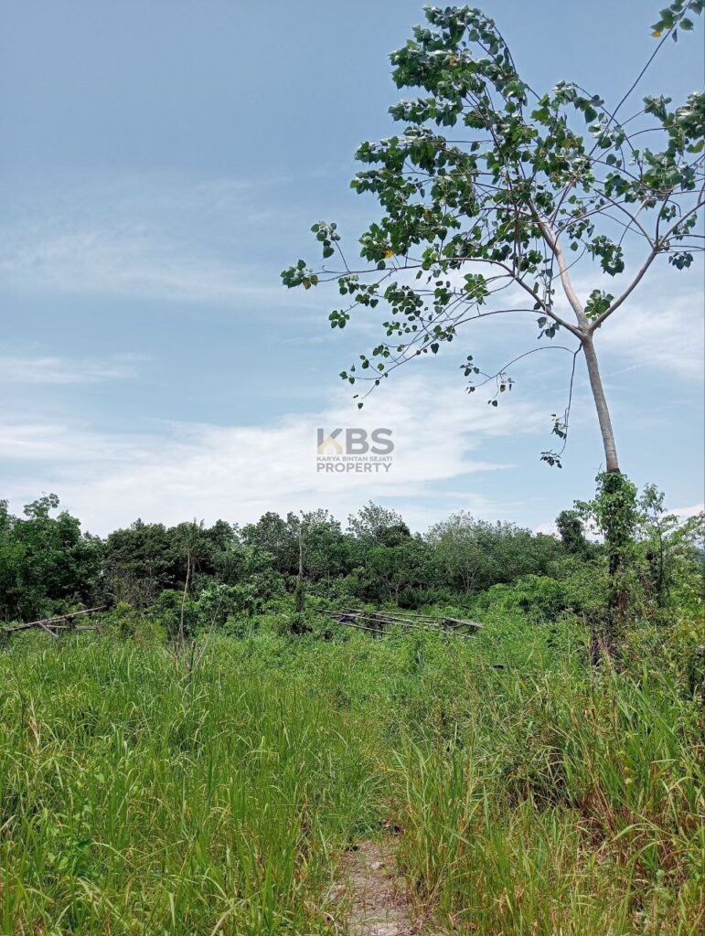 Photo 2025 08 23 13 23 06